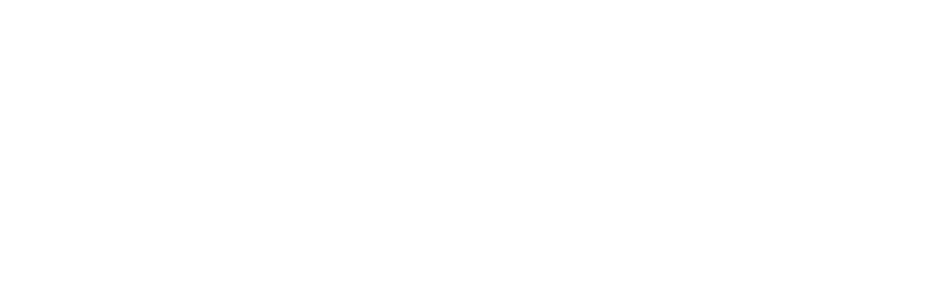 VES Innovaci&oacute;n Veterinaria