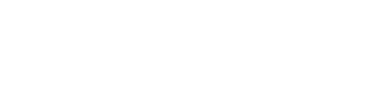VES Innovaci&oacute;n Veterinaria